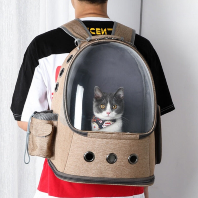 Cat Carrier Space Capsule